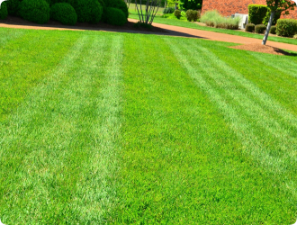 Freshly mowed lawn with bright green grass, neatly striped in a serene garden setting, bordered by trimmed bushes and a red brick path.