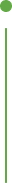 Green horizantal line which is used for the showing different timeline result to the website the color is full green with the top is dot icon