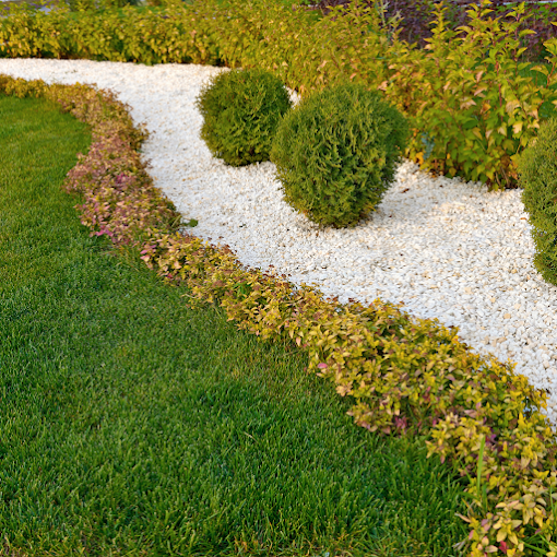 Manicured garden with a curved path of white pebbles bordered by lush green shrubs and trimmed grass, conveying tranquility and neatness.