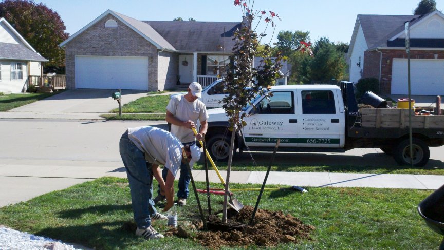 Two men plant a tree on a suburban lawn, using shovels beside a work truck. The scene conveys teamwork and community improvement in a peaceful neighborhood.