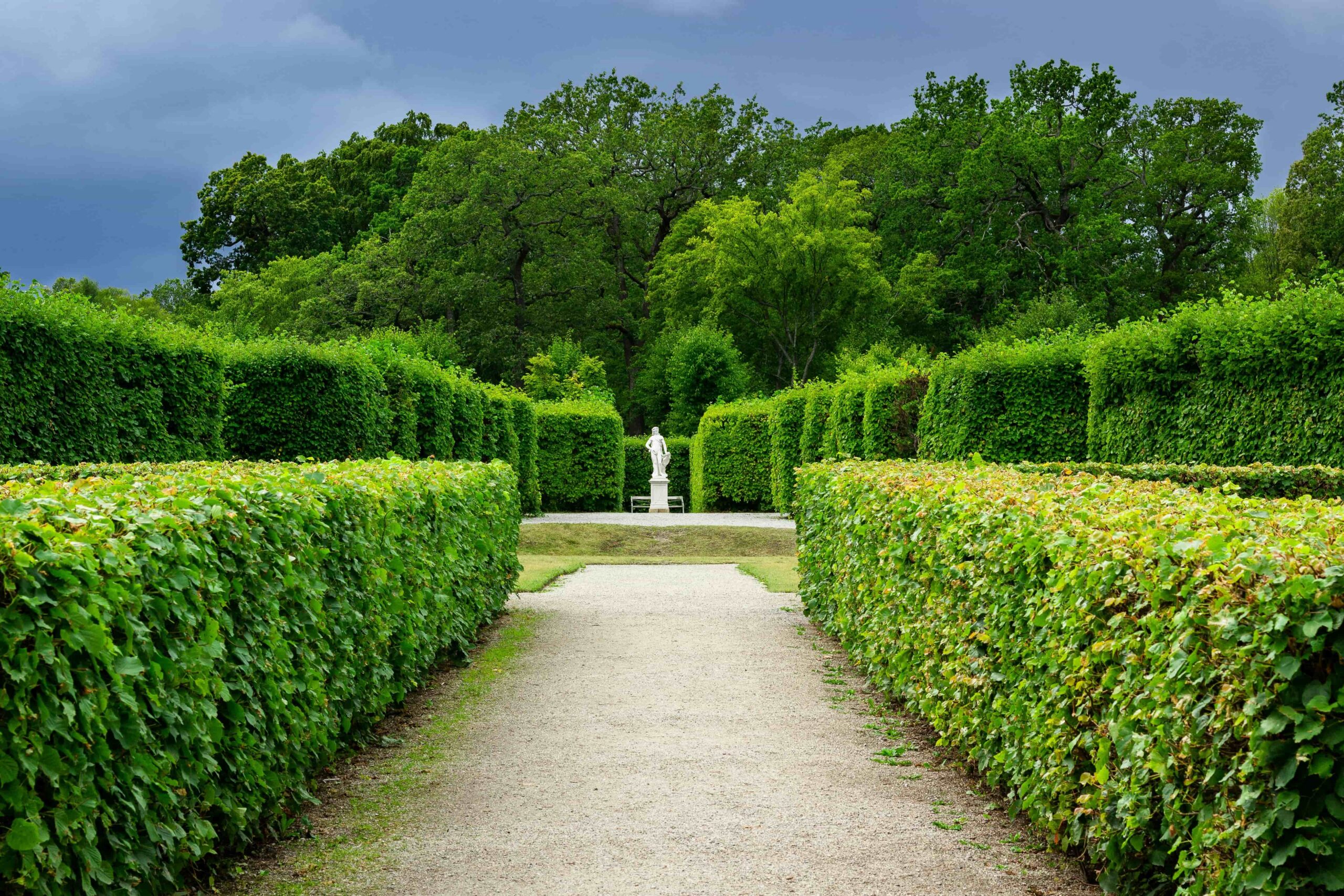 Pathway in a formal garden with lush green hedges leading to a white statue. The setting is serene, with overcast skies and dense trees in the background.