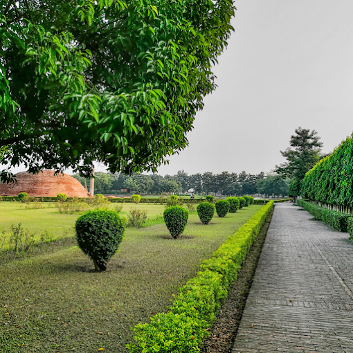 A paved path with lush green hedges leads through a manicured garden. Bushes form geometric shapes, and trees frame the scene under a cloudy sky.
