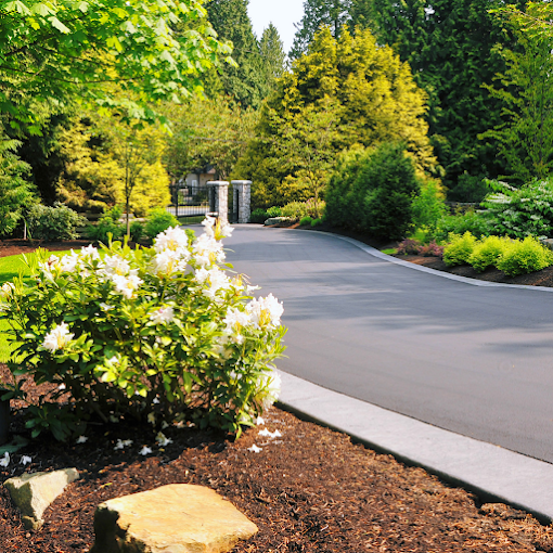 A paved driveway curves through a lush garden with blooming white flowers and diverse green shrubs. Sunlight filters through tall trees, creating a serene atmosphere.